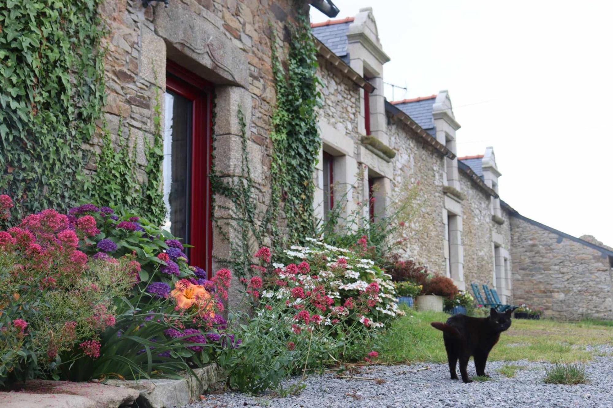 Bed and Breakfast La Petite Bérais Missillac Esterno foto
